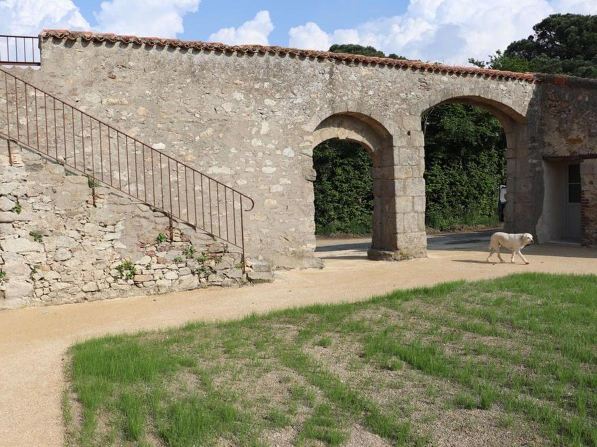 Gite 18Eme Renove Avec Piscine Couverte, Terrasse, Loisirs Et Wifi - 6 Pers. - Fr-1-426-432 Les Herbiers Exterior foto